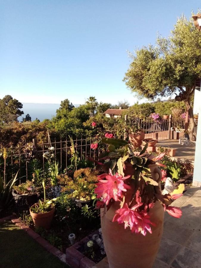 Casa Rosales With Pool & Wifi Villa Puntagorda Kültér fotó