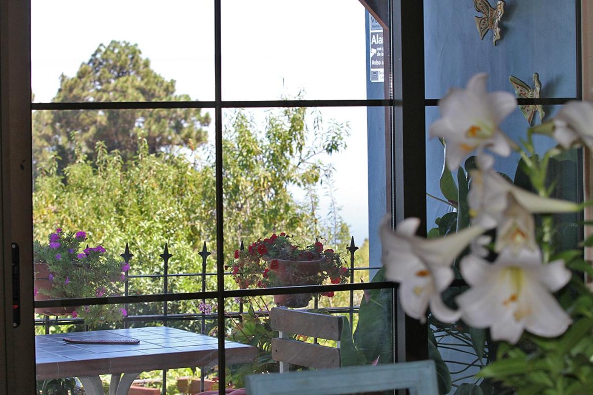 Casa Rosales With Pool & Wifi Villa Puntagorda Kültér fotó