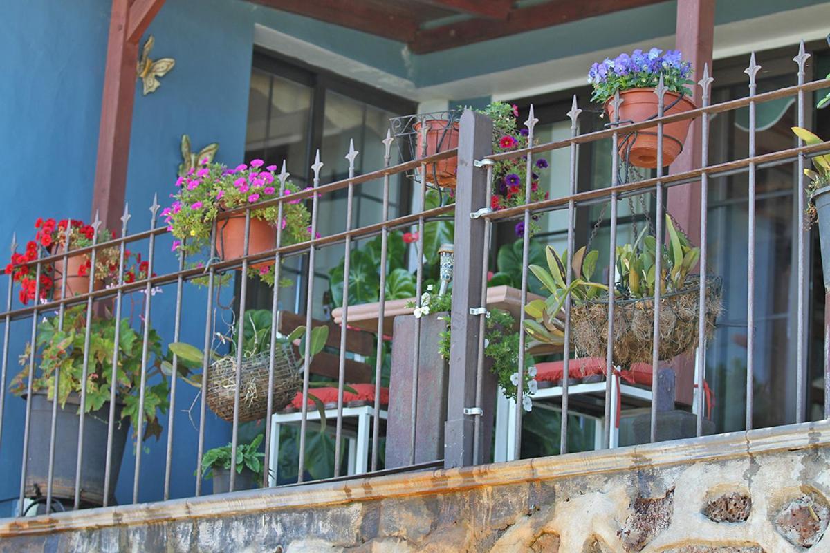 Casa Rosales With Pool & Wifi Villa Puntagorda Kültér fotó