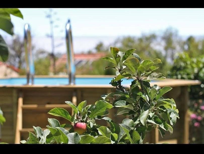Casa Rosales With Pool & Wifi Villa Puntagorda Kültér fotó
